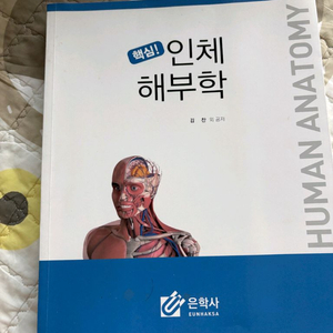 인체 해부학 (은학사)