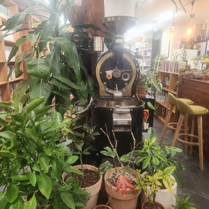 전문가용 커피 로스터기 토퍼 로스팅기 1kg LPG 이미지