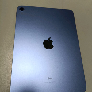 아이패드 10세대 256GB