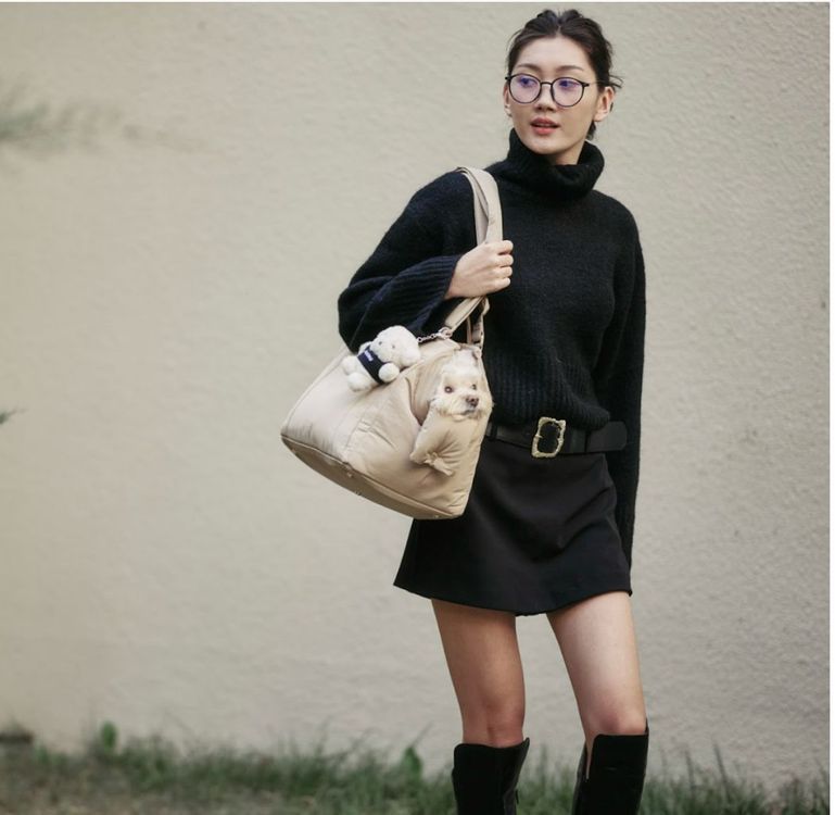 밀리옹 베이글백 반려동물이동가방(M사이즈 기내가능_거의새것)--6