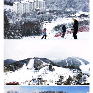 모나 용평 주간권 소인권 대인권