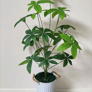 새상품)생화같은 대형 파키라야자수 조화 대형 철제 화분