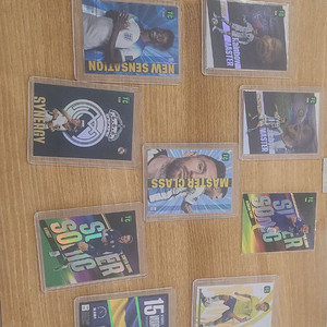 파니니 축구 카드 이미지