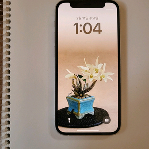 아이폰 12. 미니