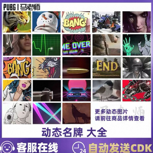 배그 스킨 네임플레이트 코드 이미지