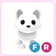 입양하세요 북극여우 이미지