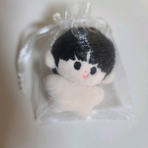 스트레이키즈 스키즈 skz 창빈 짱콩이 인형 돼끼 비공굿 changbin