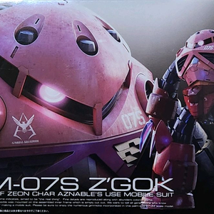 RG 즈고크 샤아 전용기 건담 프라모델 미개봉