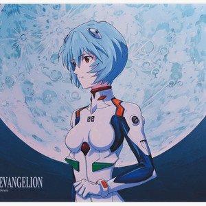 WALLHACK 월핵 에반게리온 컬렉터스 에디션(미개봉)