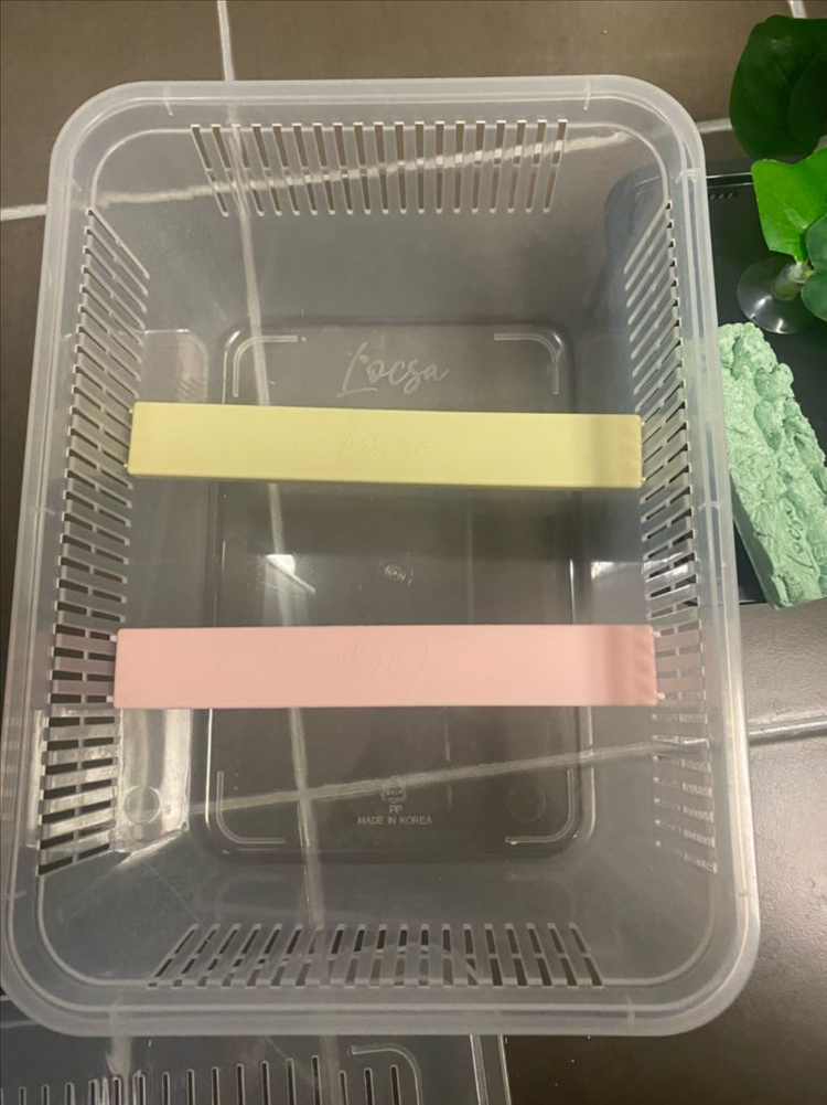 크래스티드게코 사육장 , 집(락사제품)--2