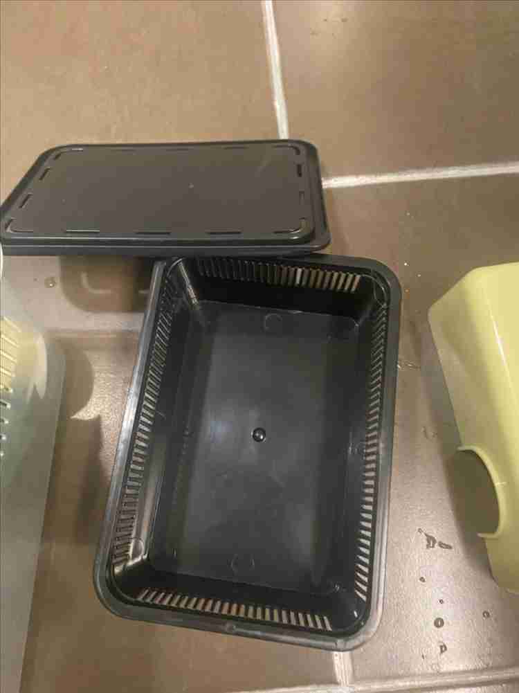 크래스티드게코 사육장 , 집(락사제품)--3