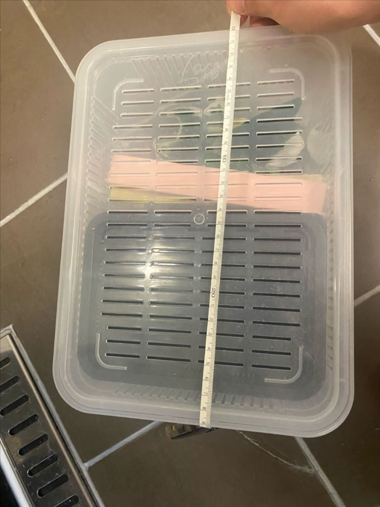 크래스티드게코 사육장 , 집(락사제품)--5