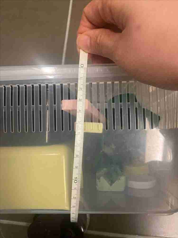 크래스티드게코 사육장 , 집(락사제품)--6