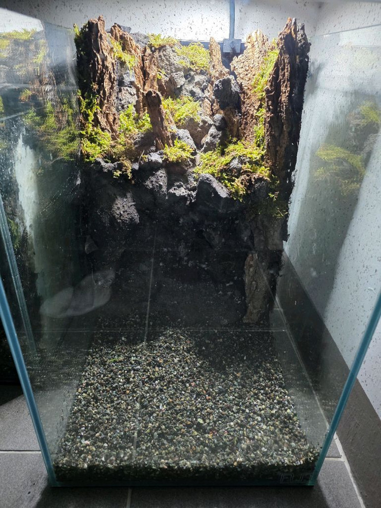 팔루다리움 30배럭 어항--1