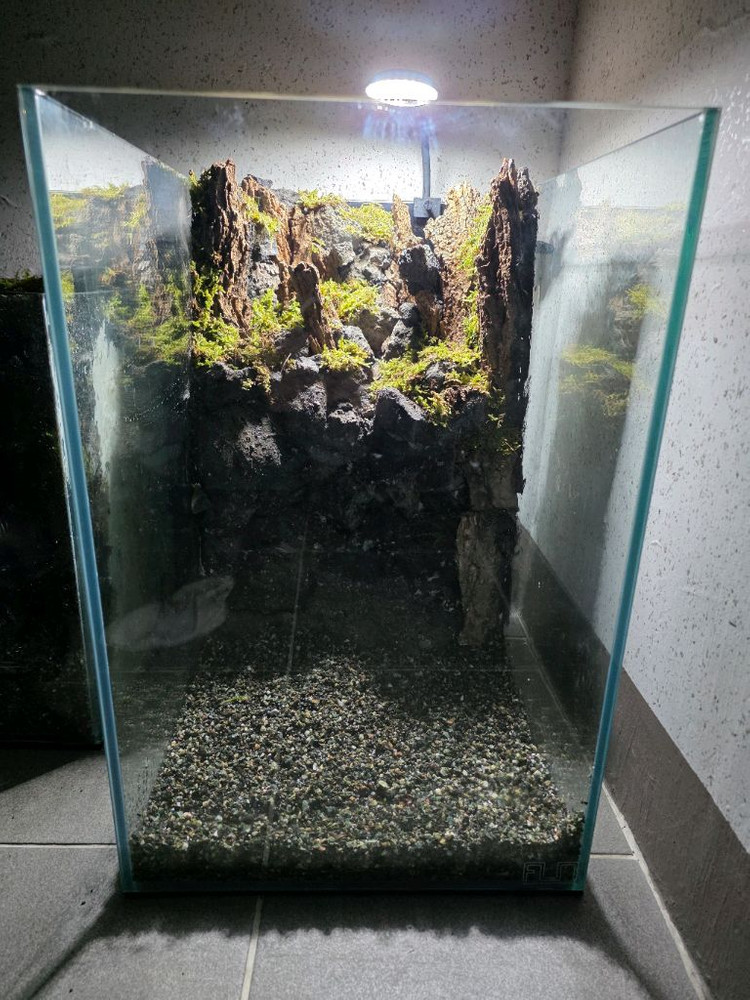 팔루다리움 30배럭 어항--2