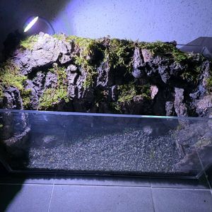 2자 팔루다리움 폭포수 조명 어항