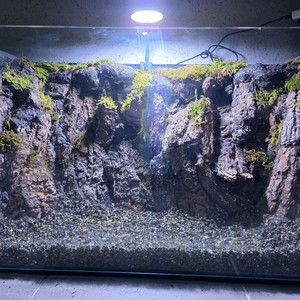 2자 팔루다리움 어항