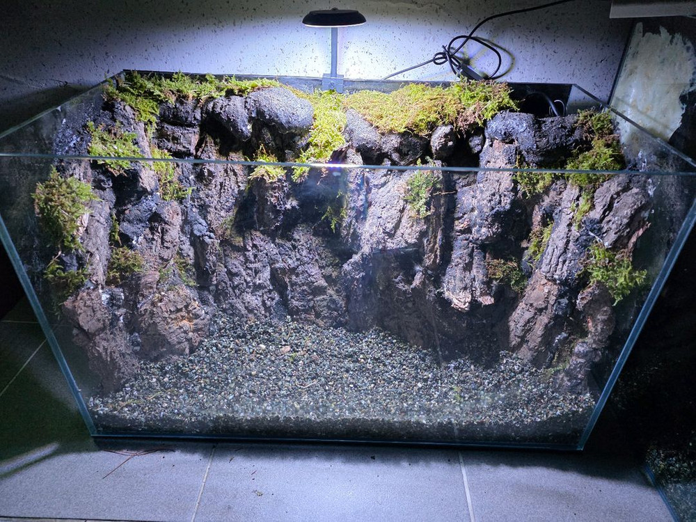 2자 팔루다리움 어항--2