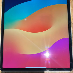 아이패드 프로 12.9 6세대 실버 512G 이미지