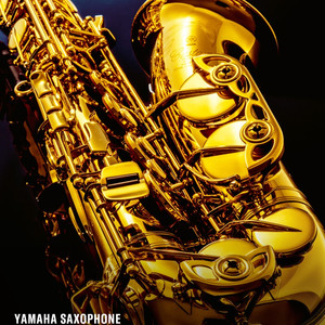 야마하 알토색소폰 Yas-875EXG(골드플레이트) 이미지