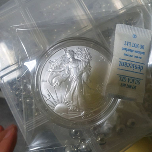 26년 이글 워킹리버티 은화 1온스