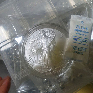 26년 이글 워킹리버티 은화 1온스