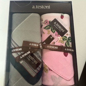 아.테스토니손수건