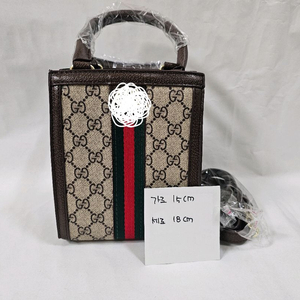 GG 캔버스 미니 핸드백