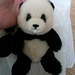 에버랜드 푸바오 봉제 키홀더(차푸) 새상품 두개세트 우체국택포