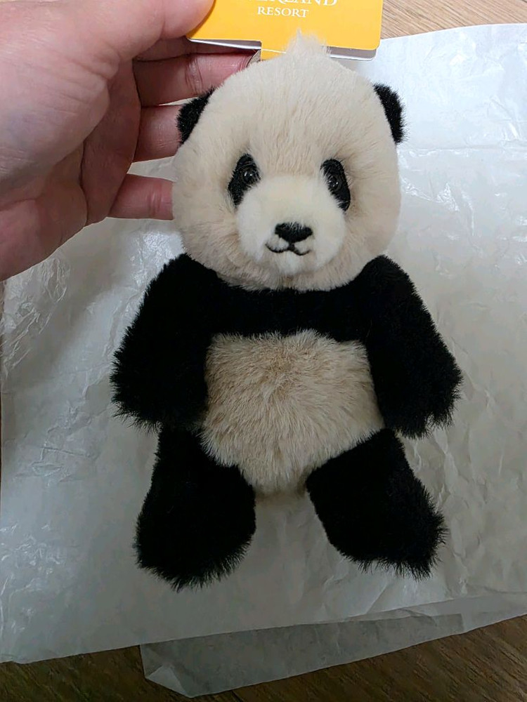 에버랜드 푸바오 봉제 키홀더(차푸) 새상품 두개세트 우체국택포--4