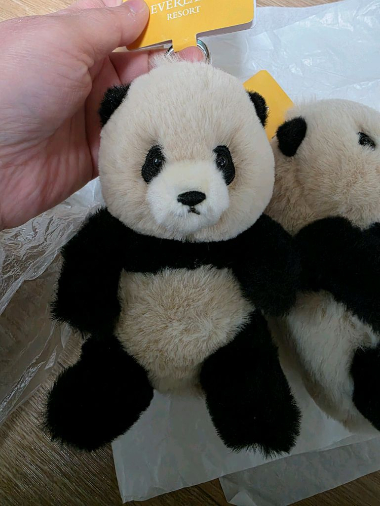 에버랜드 푸바오 봉제 키홀더(차푸) 새상품 두개세트 우체국택포--5