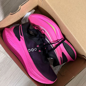 서코니 엔돌핀 프로5