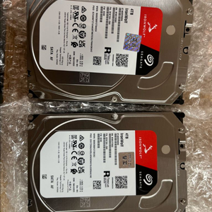 씨게이트 IronWolf 4TB HDD 2개 NAS
