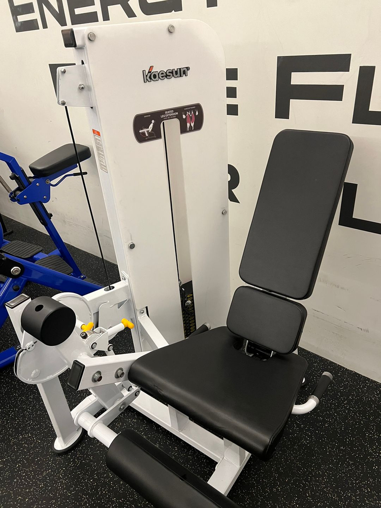 디렉스 체스트 프레스, 뉴텍 토쳐 시티드 로우, 개선 레그 익스텐션 이미지