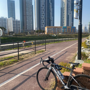 2024 메리다 리액토 6000 팝니다