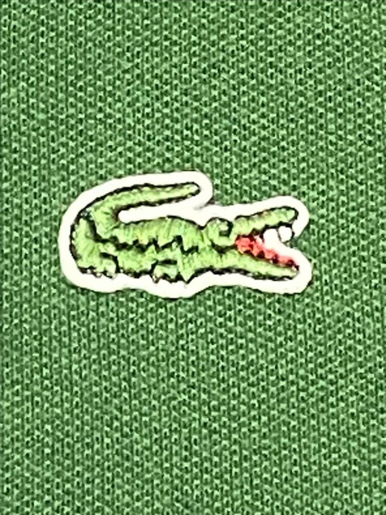 남성 라코스테 5사이즈 다크그린 PK 카라 폴로 반팔 셔츠 Lacoste 시그니처 색상--1