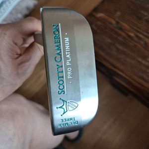 스카티카메론 델마 한정판 출시모델 입니다