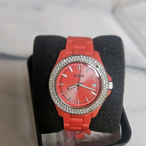 파슬 구할 수 없는 모델(코랄)