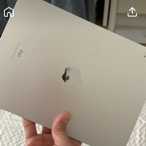 태블릿 11인치 256GB 셀룰러