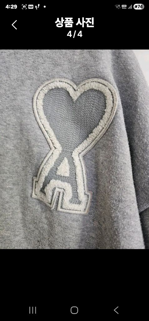 아미 파리후드--3