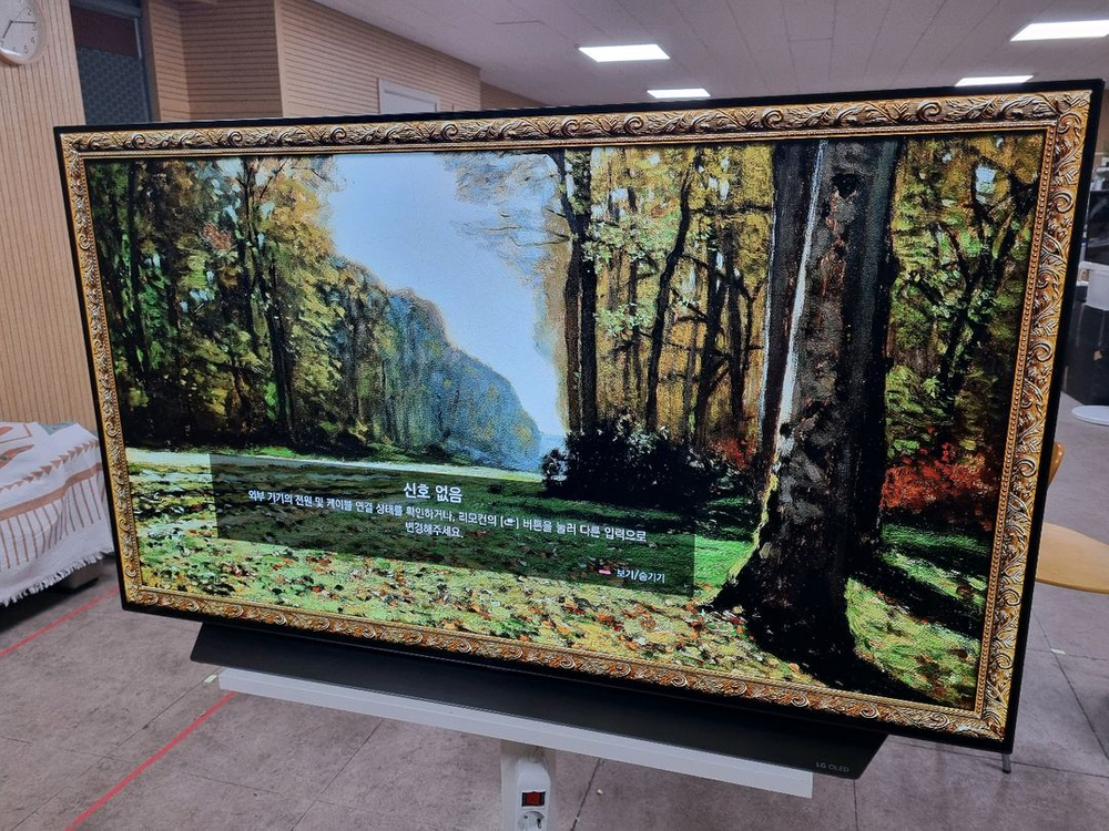 LG OLED55C9CNA 55인치 OLED TV--3