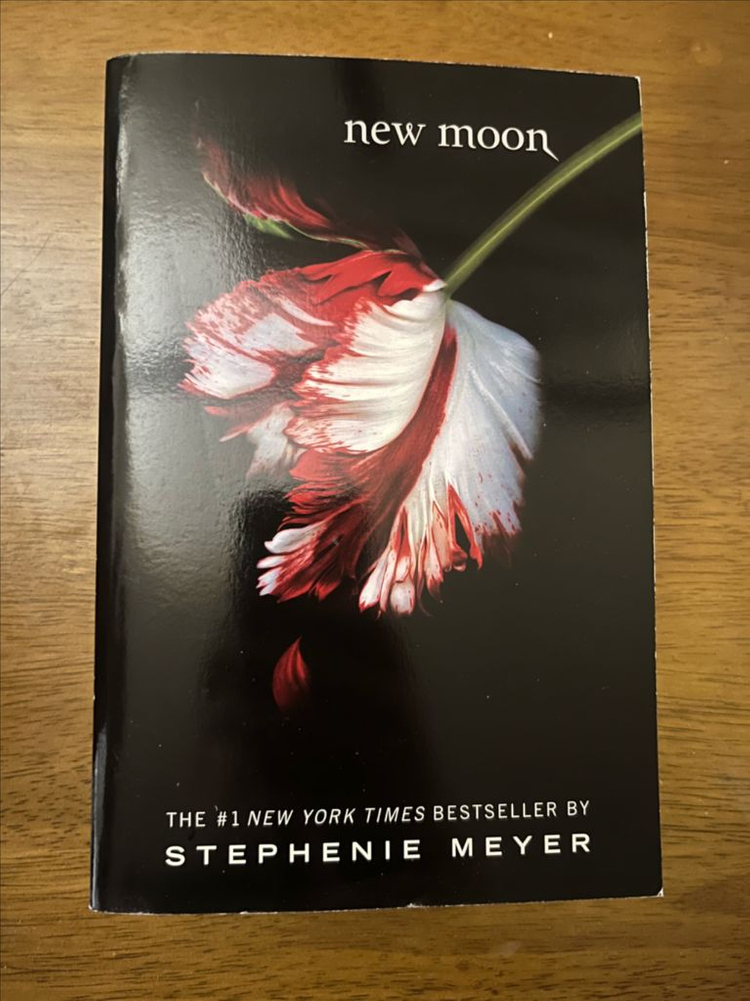 트와일라잇 영어 원서 시리즈 4권 세트--2