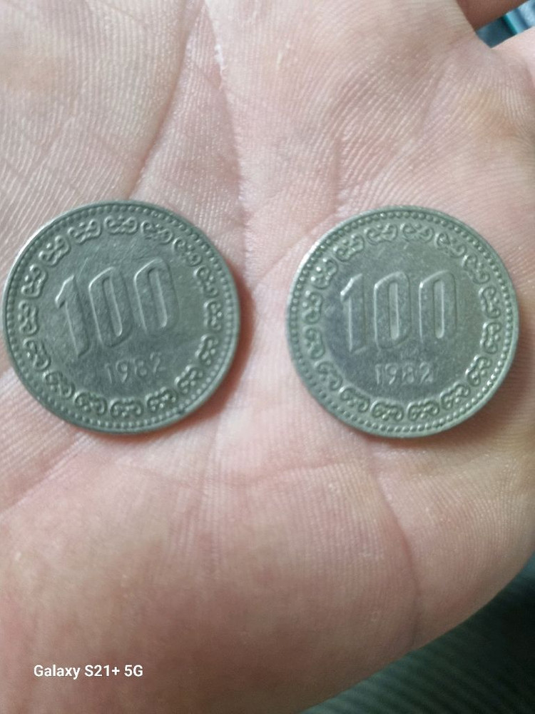 1982년 100원 동전 2개 세트--1
