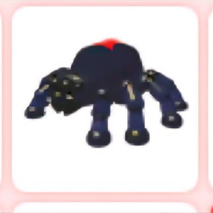 입양하세요 블랙위도우(무능)개당 이미지