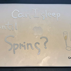 맥북에어M3 15인치 16/512(애케플0)