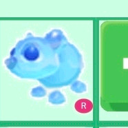 입양하세요 타프로스트곰 이미지