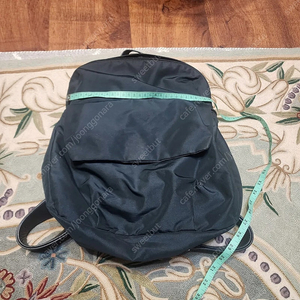 만다리나덕 백팩 코치 핸드백 이미지