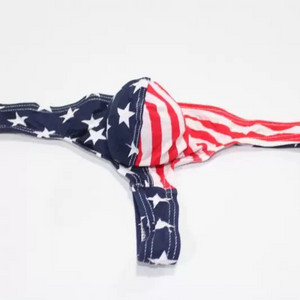 미국 국기 티팬티