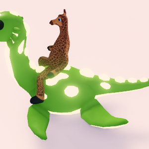 입양하세요 NR 네시 판매해요!(재고 1) 이미지