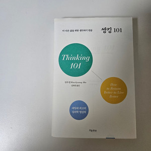 씽킹 101 더 나은 삶을 위한 생각하기 연습 안우경